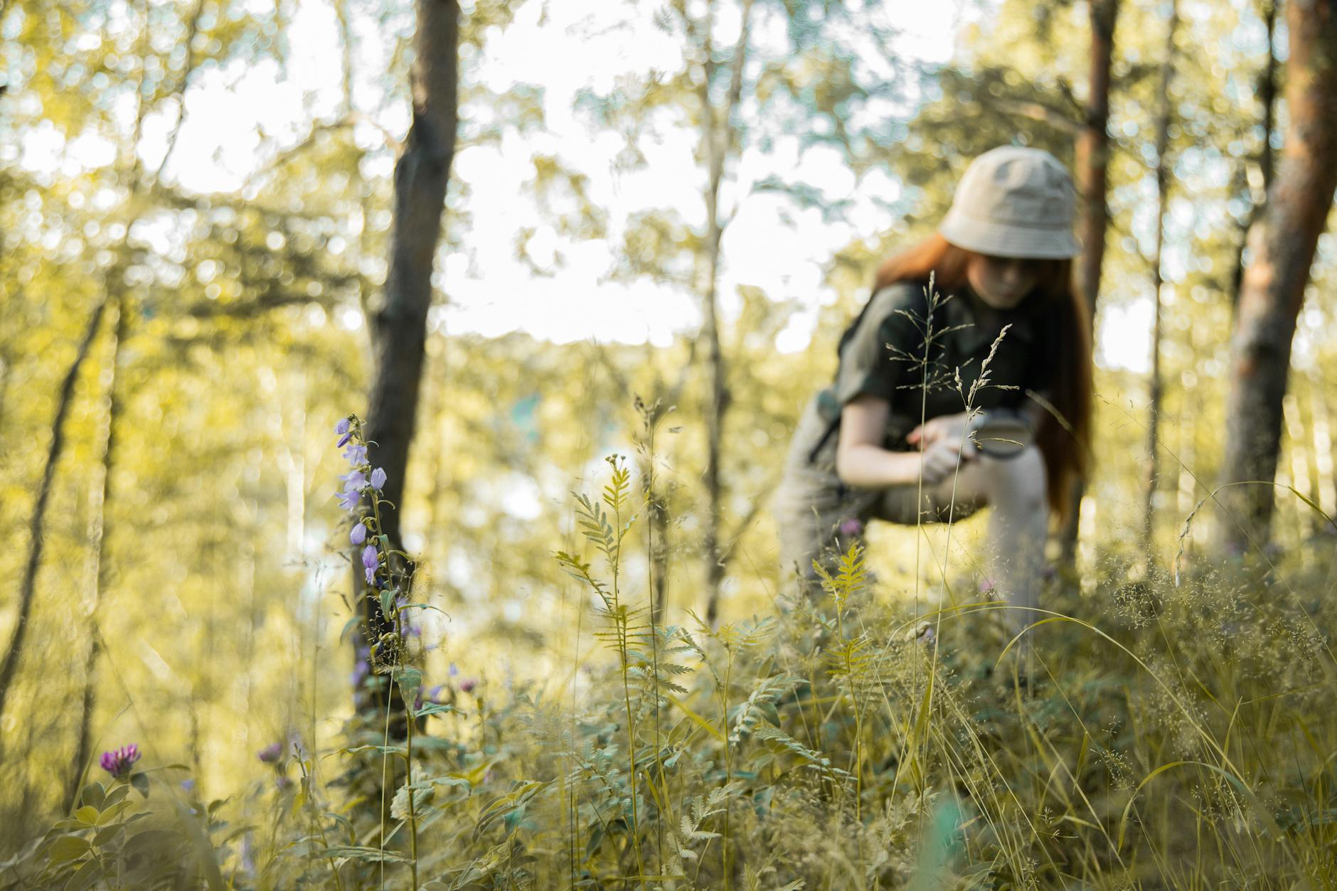Scientist using mobile device outdoors for field research and data collection