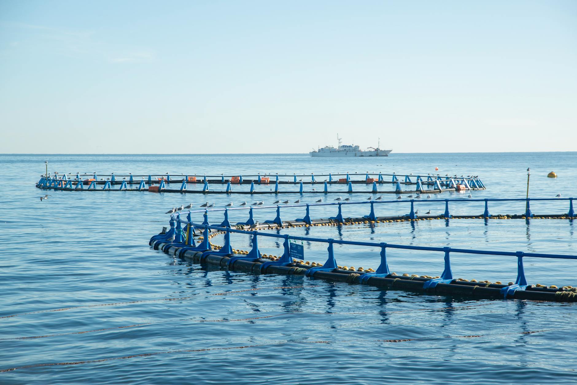 Modern marine conservation technology equipment positioned for underwater research and monitoring