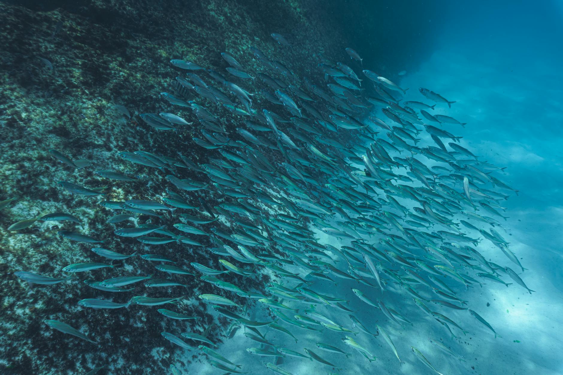 Scientists or researchers working with marine equipment on boat deck