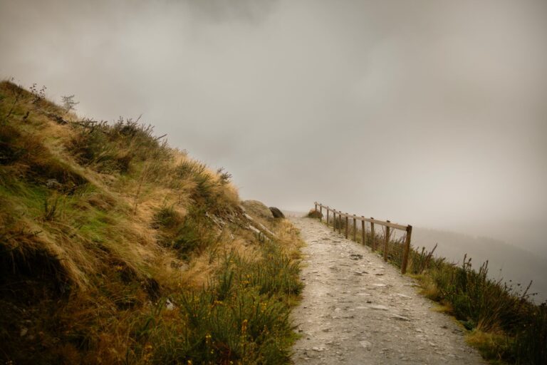 Kojima’s Death Stranding 2 Is Quietly Reviving the Walking Sim Genre A foggy mountain trail stretching into the distance, evoking the isolated traversal gameplay of Death Stranding 2