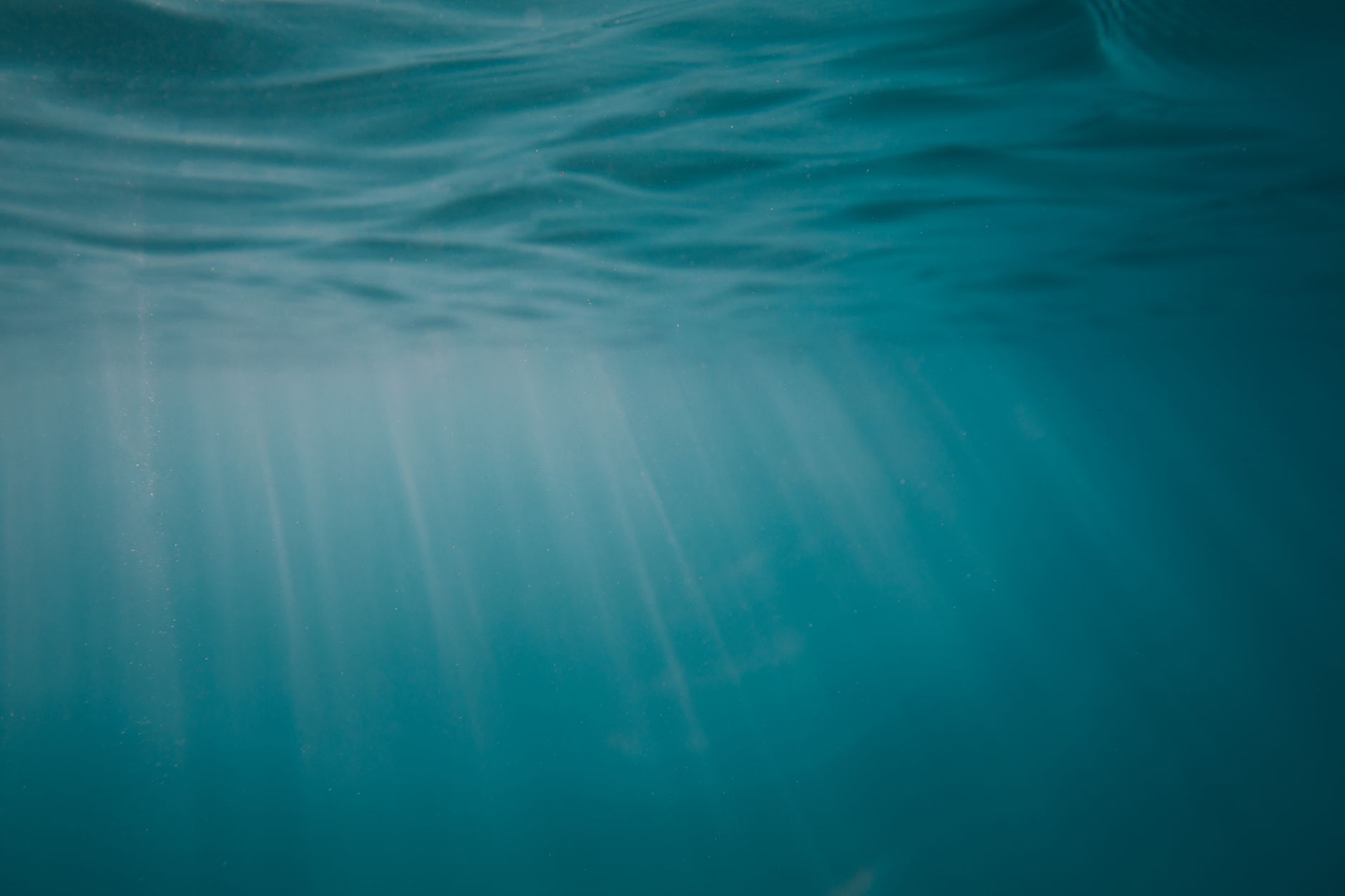 Deep blue underwater environment representing the immersive world of Subnautica
