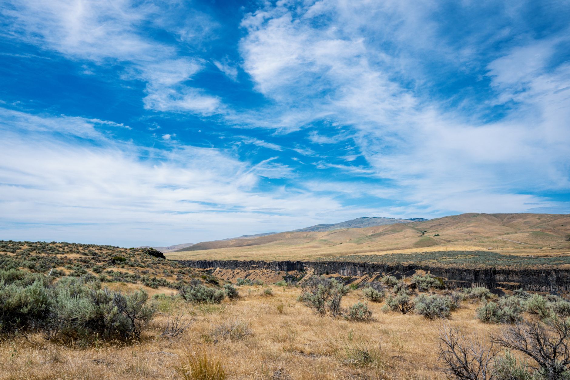 Vast open landscape reminiscent of the Red Dead Redemption 2 frontier environment