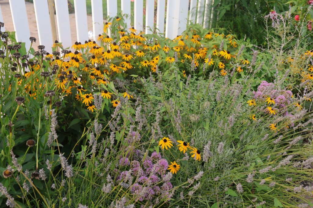 Close-up of a suburban backyard garden with grass and plants, evoking the miniature survival world of Grounded