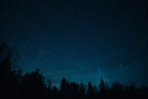 Dark atmospheric forest at night evoking the tone of Alan Wake 2