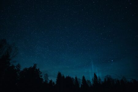Dark atmospheric forest at night evoking the tone of Alan Wake 2