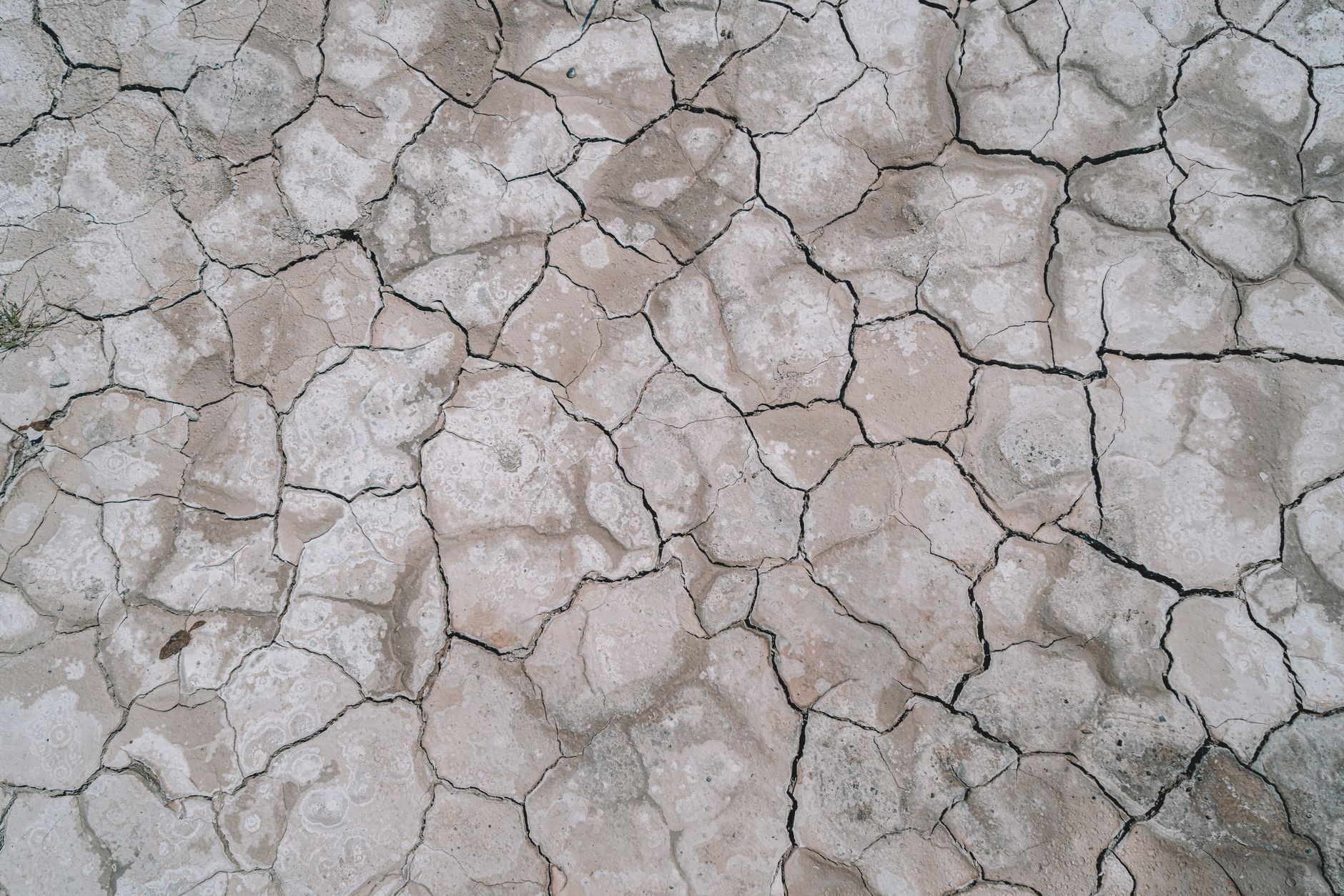 A barren alien-looking planet surface under a dramatic sky, evoking space exploration gameplay