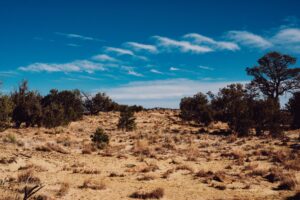 Bethesda’s Fallout 5 Silence Is Sending Fans Back to New Vegas A barren desert landscape representing the post-apocalyptic setting of Fallout New Vegas