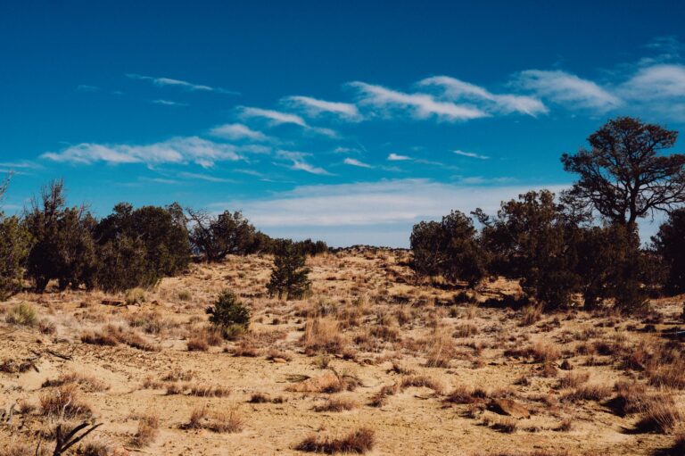 A barren desert landscape representing the post-apocalyptic setting of Fallout New Vegas