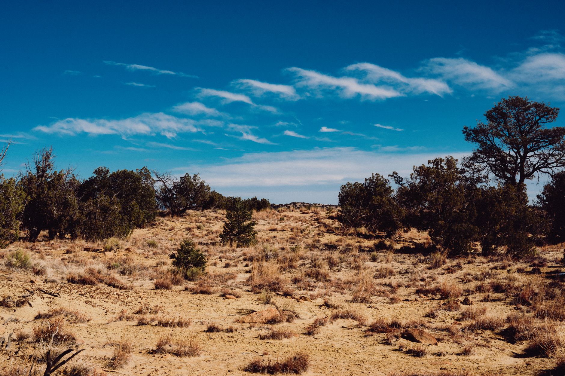 A barren desert landscape representing the post-apocalyptic setting of Fallout New Vegas