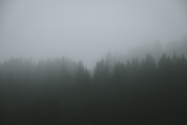 Konami’s Silent Hill 2 Remake Buzz Is Cooling Homecoming Revisits Dense fog hanging low over a dark forest, evoking horror game atmosphere