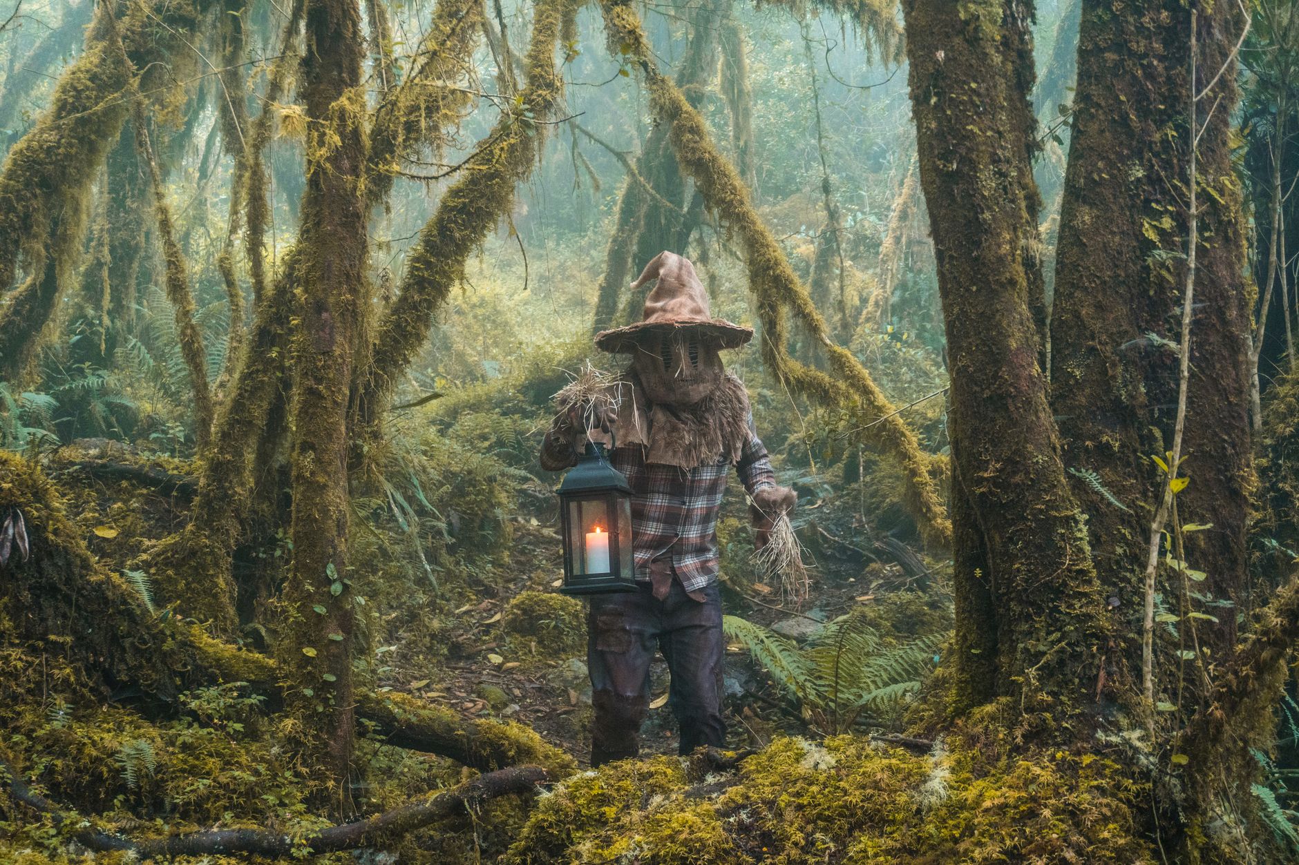 A dense, atmospheric fantasy forest landscape evoking the visual tone of open-world RPGs