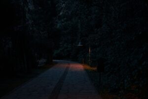 Naughty Dog’s Last of Us 3 Silence Is Reviving Factions Runs A dark, overgrown forest path evoking the post-apocalyptic tone of The Last of Us series